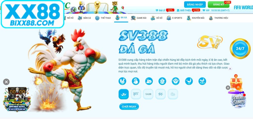 Đá gà XX88 được biết là sảnh cá cược trực tuyến đỉnh cao, hấp dẫn 2026